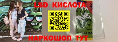 spice Донской