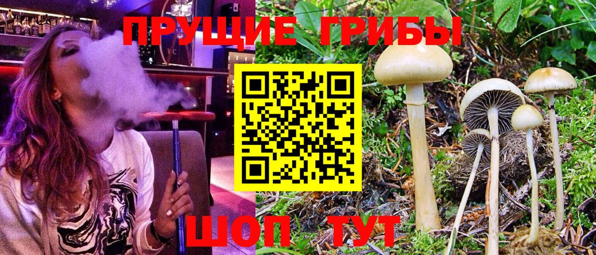 Галлюциногенные грибы Magic Shrooms  Вход с VPN  Лысьва 
