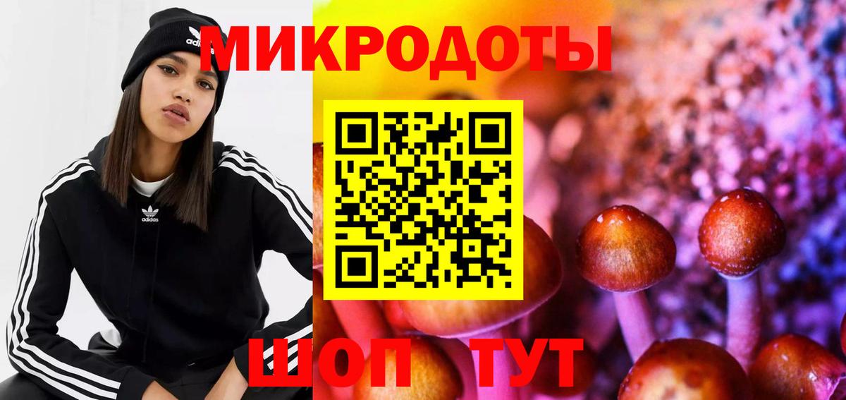 Псилоцибиновые грибы прущие грибы Лысьва